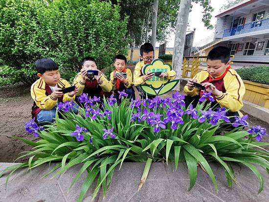 學(xué)生們在攝影課中學(xué)習(xí)鮮花的拍攝技巧。辛集市融媒體中心供圖