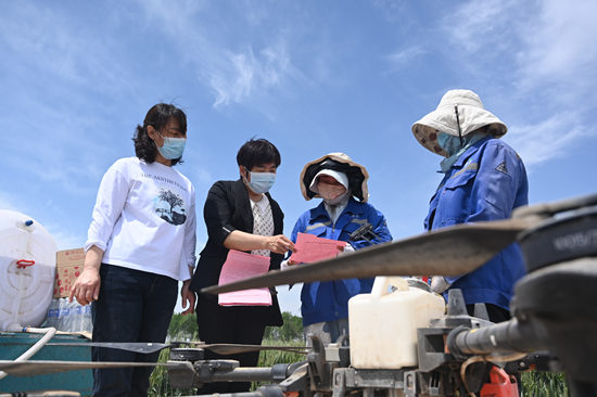 在曲周縣，農(nóng)村婦女使用無人植保機(jī)田間作業(yè)。王喜民攝