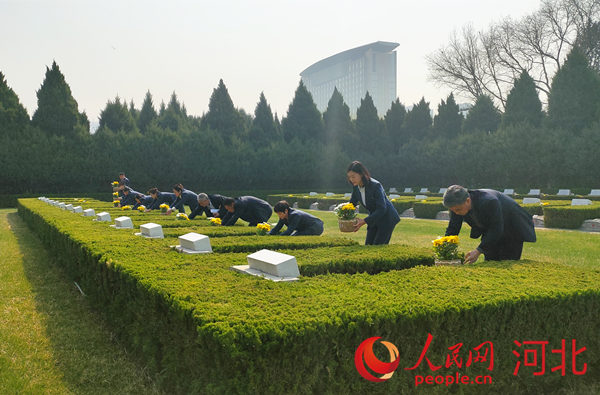 華北軍區(qū)烈士陵園干部職工開展清明節(jié)代祭掃活動。 人民網 楊文娟攝