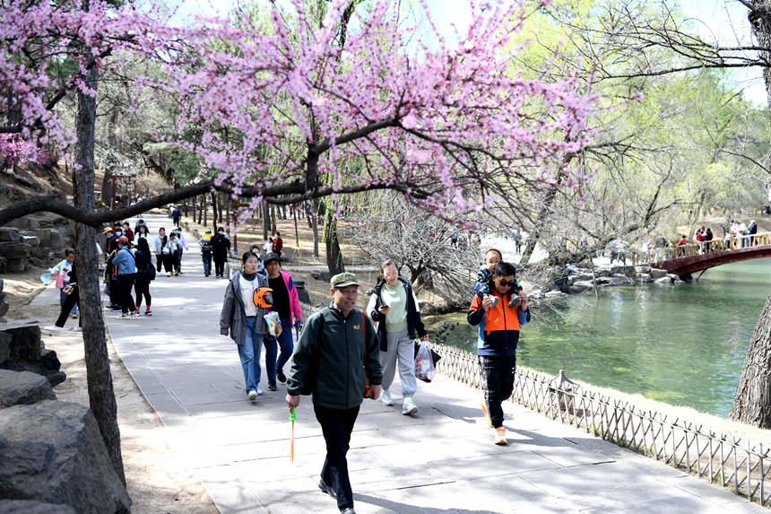 眾多游客來(lái)到承德避暑山莊內(nèi)感受春光。?陳琦嘉攝