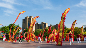 清晨，群眾在高陽人民公園舞龍。