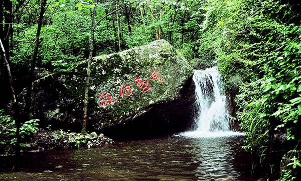 茅荊壩森林公園