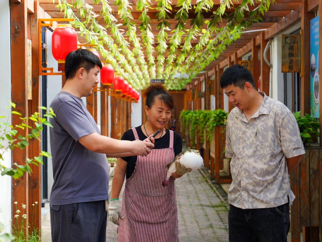 游客在河豚小鎮(zhèn)一家餐館觀賞河豚魚(yú)