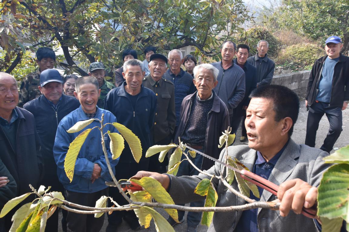 專家為村民講授板栗秋季管理技術(shù)。田立民攝。