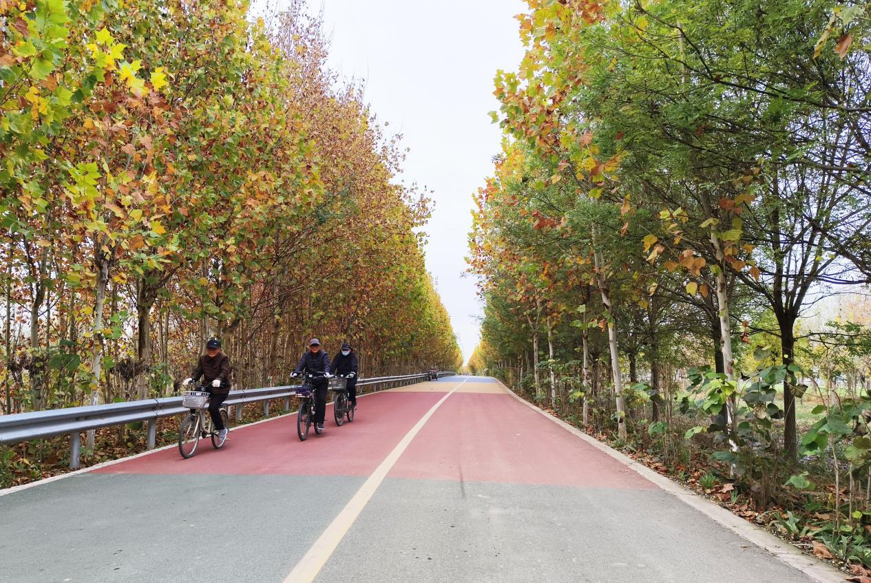 館陶縣衛(wèi)西干渠沿線健康步道上，群眾在騎行游玩。郝立翠攝