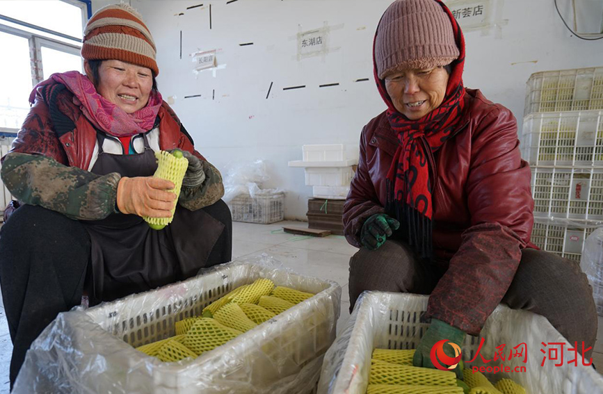 種植戶將蔬菜進(jìn)行包裝。人民網(wǎng)記者 周博攝